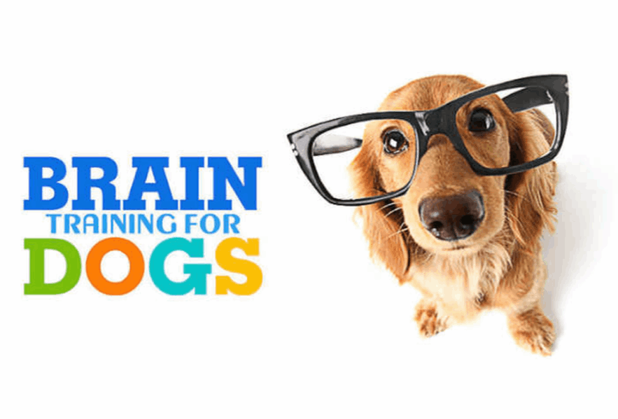 BRAIN TRAINING FOR DOGS